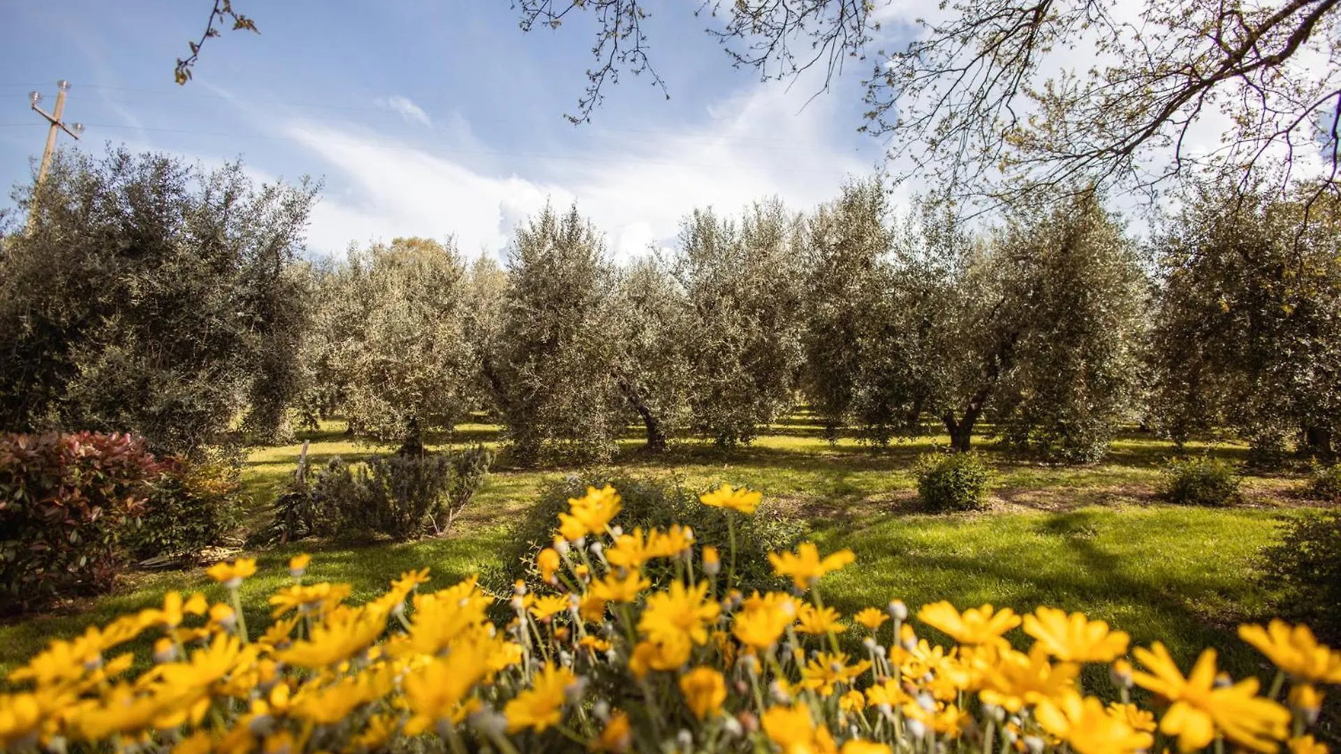 Bio Agriturismo I Lapi Catabbio Farm stay