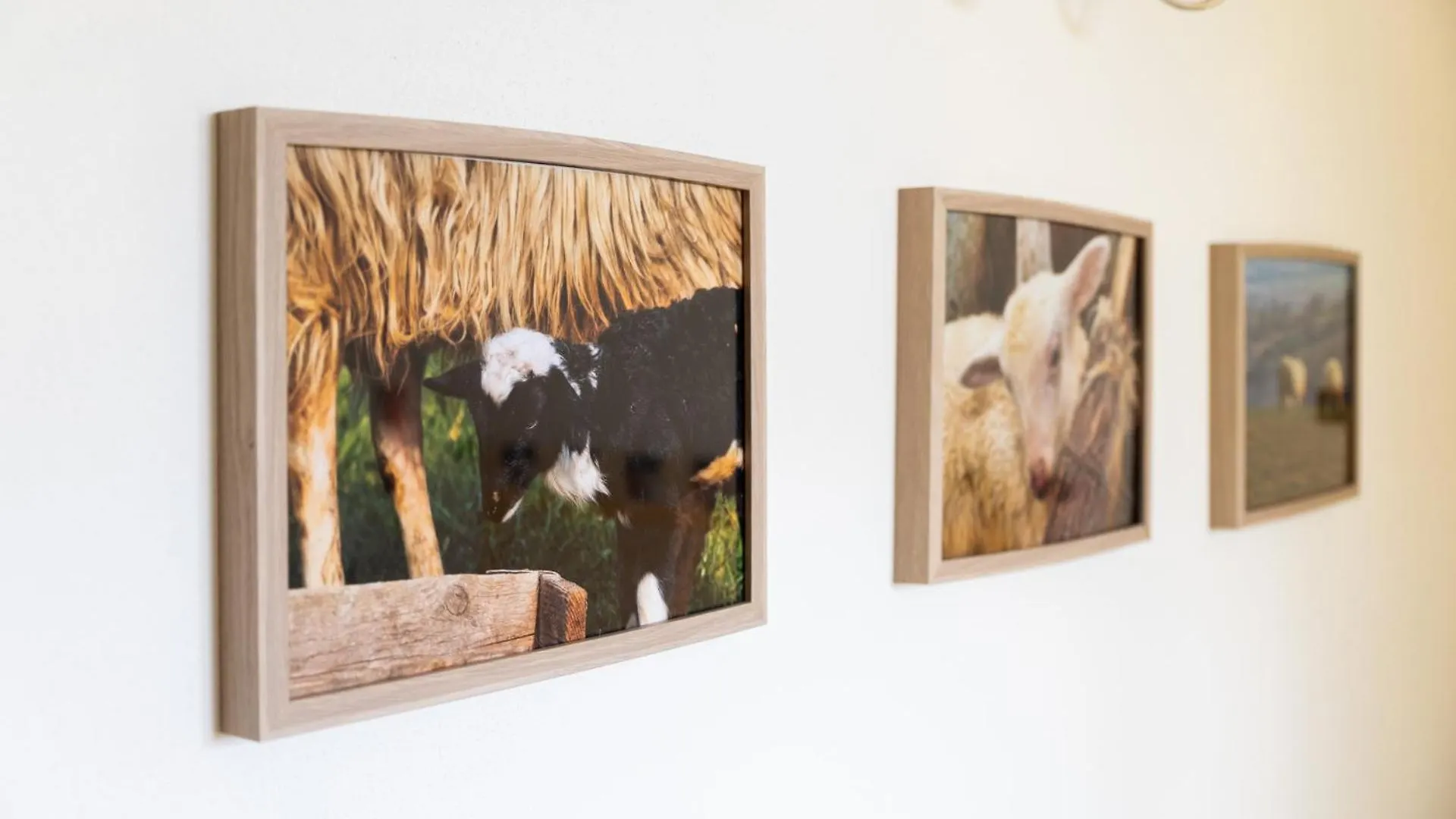 Bio Agriturismo I Lapi Catabbio Farm stay